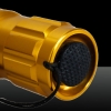 Style ricaricabile Dot luce LT-501B 200mw 532nm verde Fascio di luce laser di Pen Set d'oro