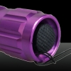 501B 1000mW 650nm faisceau rouge Pointeur Laser Light Pen Violet Kit