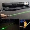 Laser 301 1mW 532nm Green Beam Light Penna puntatore laser a punta singola nera