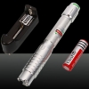 2000mW 532nm Green Beam Single-point Aluminum Laser Pointer Pen Kit with Battery & Charger Silver