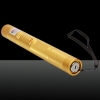 Kit 200mW rouge et vert étoilé en acier inoxydable stylo pointeur laser avec batterie et chargeur et Golden Key