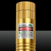 200mW Red & Green Starry Edelstahl-Laser-Zeiger-Feder-Kit mit Akku und Ladegerät & Key Goldene