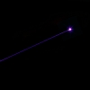 200mW 405nm Blu Viola fascio singolo punto kit in acciaio inox Penna puntatore laser con batteria e caricabatteria argento