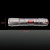 200mW 405nm Blue Purple Beam Single-point Stainless Steel Laser Pointer Pen Kit with Battery & Charger Silver