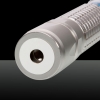 5000mW 450nm Blue Beam Kit penna puntatore laser in acciaio inossidabile con batterie e caricabatterie Silver