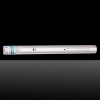 20mw 405nm azul e roxo luz único ponto de estilo impermeável de aço inoxidável ponteiro laser prata