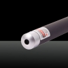 100mw 650nm Red Light singolo punto di stile impermeabile in acciaio inox puntatore laser Nero