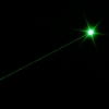 100mW 532nm laser vert Sight avec Gun Mont noir TS-E05 (avec une batterie 16340)
