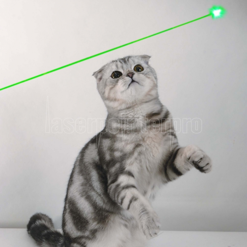 Green 5 Miles 532nm Green Laser Pointer Pen Mid-Open Visible Beam Light Ray  Camping Office Tool