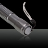 RL853 150mW 532nm Tail-Bouton kaléidoscopique stylo pointeur laser vert gris argenté