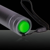 TS-002 1000mW 532nm Green Laser Pointer Pen Silver Gray