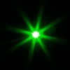 TS-002 1000mW 532nm grüne Laserpointer Silbergrau