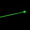 Puntatore laser verde professionale 5mW Gypsophila Light Pattern Verde