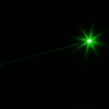 5mW Gypsophila Light Pattern Professional Green Laser Pointer Blue