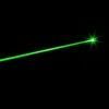 5mW Professional Gypsophila Padrão de luz Green Laser Pointer Vermelho