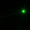50mW Professional Gypsophila Light Padrão Verde Laser Pointer Verde