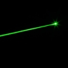 30mW Professionelle Gypsophila Leuchtmuster grünen Laserpointer Grün