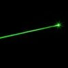 30mW Professional Gypsophila Light Pattern Green Laser Pointer Blue
