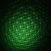Pattern 30mW Professional Gypsophila Light Green Laser Pointer azul