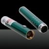 20mW Professional Gypsophila Light Pattern Green Laser Pointer Green