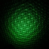 20mW Professional Gypsophila Light Pattern Green Laser Pointer Blue