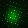 20mW Profesional Gypsophila Light Pattern Green Laser Pointer Blue