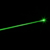 20mW Profesional Gypsophila Light Pattern Green Laser Pointer Blue