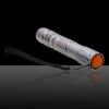 300mW Gittermuster Professioneller Grünlicht-Laser-Zeigeranzug mit Ladegerät Silber