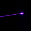 100MW Profesional púrpura puntero láser de luz con la caja Negro (301)