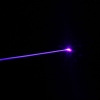 Pointer 30MW Professional Violet lumière laser avec Black Box (301)