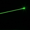 Light Green A8-2 5MW Professional Laser Pointer com pilhas AAA & Black Box
