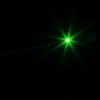 5mW Professionelle grünes Licht Laser-Pointer mit Box (A CR123A Batterie) Schwarz