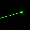 5mW A85 Professionelle Gypsophila Green Light Pattern Stretchable Laser-Pointer mit Box (CR123A)