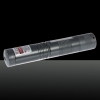 5mW Starry Pattern Red Light Laser Pointer Pen with 16340 Battery Silver Grey