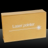 500mW Punktmuster ACC-Schaltkreis Lila Licht Laserpointer Silber