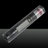 50mW Single-Point Pattern Red Light Laser Pointer Pen with 16340 Battery Silver Grey