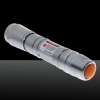 200mW Dot modello Red Light ACC Circuito Laser Pointer Pen Argento