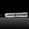 Penna puntatore laser circuito argento a forma di puntino 100mW con puntino argento