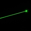 300mW 620MW 620 Click Style Open-back Verde Laser Pointer Preto