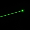 300mW 618 Cliquez style à dos ouvert pointeur laser vert avec batterie de luxe de couleur d'or