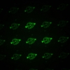 Penna puntatore laser professionale a luce verde da 30 mW 532 nm