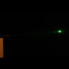 100mW 532nm Flashlight Style Green Laser Pointer