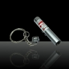 2 in 1 5mW 650nm Laser Pointer Pen Argento Surface (Red Laser + LED torcia elettrica)