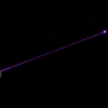 30mW 405nm blau-violetten Laser-Pointer Pen