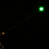 10mW 532nm Stainless Steel Green Laser Pointer Pen with 2AAA Battery
