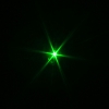 250mW 532nm Flashlight Style 2009 Type Green Laser Pointer Pen with 16340 Battery