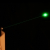 5mW 532nm Green Laser Pointer Pen with 15270 Battery