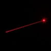 250mW 650nm Flashlight Style Red Laser Pointer Pen with Two CR2 Battery