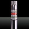 100mW 532nm Chromium Aço Kaleidoscopic Green Laser Pointer prata (com duas pilhas AAA)