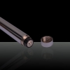 Argent kaléidoscopique pointeur laser vert 100mW 532nm acier chrome (avec deux piles AAA)